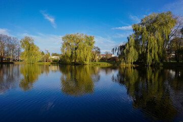 Szydłowiec mazowiecki- zalew © Przemysaw