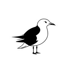 Elegant Black and White Seagull Illustration: A Minimalist Vector Graphic Design