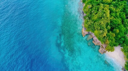 Tropical island nature concept. Aerial view of a pristine coastline meeting turquoise waters and lush greenery.