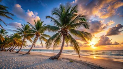 Palm trees swaying in the breeze on a white sandy beach at sunset, beach, paradise, beach, paradise, serene