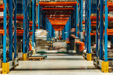 Warehouse workers operating forklifts in busy distribution center