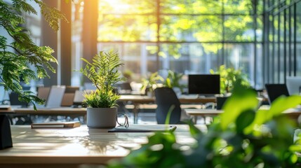 Bright and Airy Office Space with Greenery and Natural Light