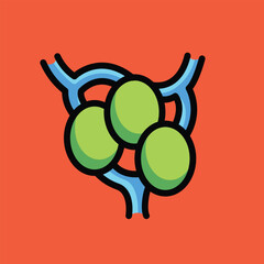 Testicles, uterus, female sex, ovarium human cartoon, doodle vector illustration, simple concept, Isolated premium vector