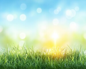 Obraz premium Vibrant Spring Meadow, Lush Green Grass and Golden Sunlight, Serene Nature Background