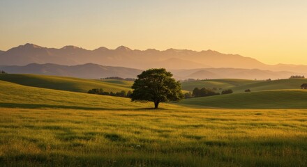Naklejka premium Serene Sunset Landscape Lone Tree in Rolling Hills and Mountains