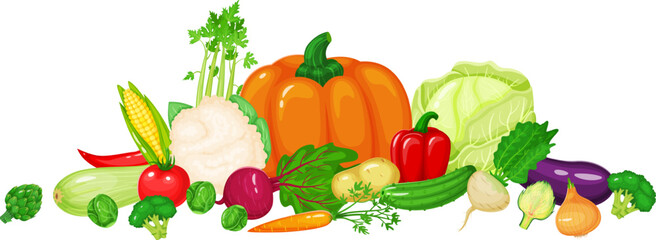 Colorful array of fresh, raw vegetables including pumpkin, cabbage, cauliflower, eggplant, zucchini, corn, and other seasonal produce arranged on white background
