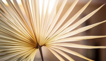 Delicate lines and textures of a palm leaf create an inviting atmosphere, bathed in warm golden light. This close-up captures the essence of tropical relaxation and beachside tranquility