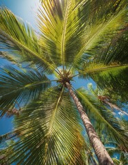 Towering palm trees rise dramatically against the clear blue sky, creating a sense of tranquility and adventure. This tropical paradise invites travelers to escape the ordinary