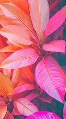 Vibrant Tropical Leaves with Colorful Shades of Pink and Orange