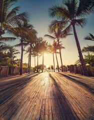 Fototapeta premium A tropical paradise unfolds with tall palm trees creating beautiful silhouettes as morning sunlight spills across a wooden pathway leading to the beach. Tranquil vibes invite relaxation