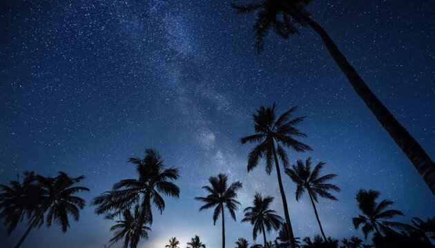 Silhouettes of towering palm trees create a captivating contrast against a deep midnight blue sky, filled with twinkling stars