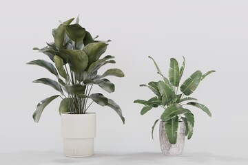 Plant pots in various natural shapes on a white background 3d