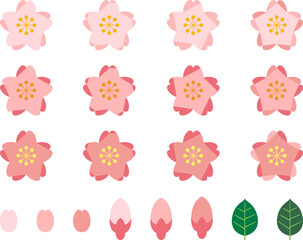 Obraz premium カラフルな桜の花のセット