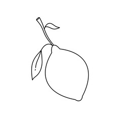 A lemon is shown in a black and white drawing