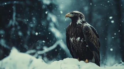 Majestic eagle perched on a snowy landscape during a winter storm