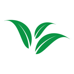 leaf nature icon vector illustration template design