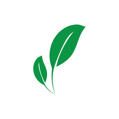 leaf nature icon vector illustration template design