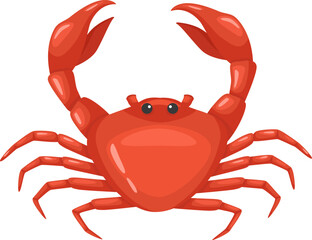 Cartoon illustration featuring a vibrant red crab raising its claws against a clean white background, highlighting the charm of this beloved seafood delicacy and marine creature