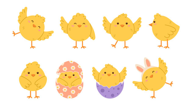 Cute chicken set. Childish chick print for nursery, poster and postcard. Flat isolated vector illustration