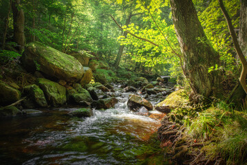Romantic German River in Summer with Rocks Waterfall and Sunlight