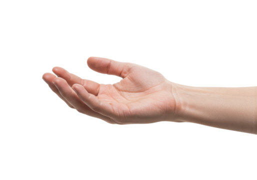 An open human hand with fingers gently curved, palm facing upward, isolated on a white background