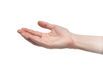 An open human hand with fingers gently curved, palm facing upward, isolated on a white background