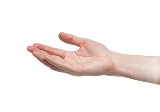 An open human hand with fingers gently curved, palm facing upward, isolated on a white background