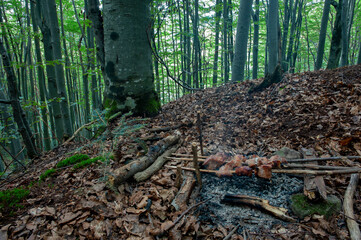 Obraz premium Marinated chicken on a barbecue in the forest. Meat is roasted on coals, on a bonfire, on the river bank. Grill on the election campaign.