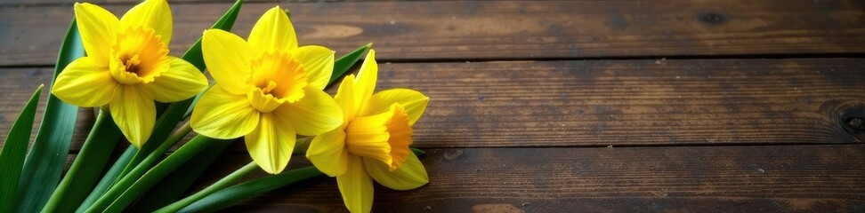 Obraz premium Daffodil stem and leaves with yellow blooms on a wood surface, daffodil, organic