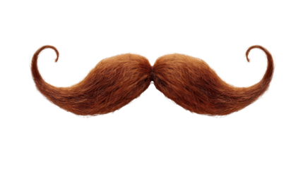 Ginger curly mustache with transparent background for easy editing