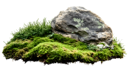 Green moss accompanied by ornamental stone isolated on a transparent background