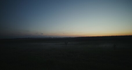 Obraz premium A man runs across a field on a summer evening after sunset. Rear view, unrecognizable person.