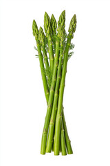 Fototapeta premium A floating bunch of green asparagus spears, isolated on white background.