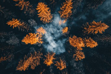 An overhead perspective showcasing flames erupting amidst forest trees, demonstrating the impact of wildfires.