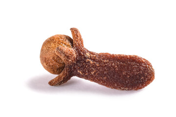 Clove