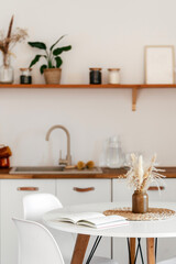 Modern bohemian kitchen interior with minimalist design and natural decor elements