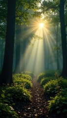 Obraz premium Misty forest floor shrouded in shadows as sun rises high, foliage, branches, atmosphere