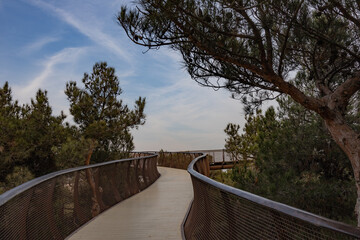 curvy overpass in the park 