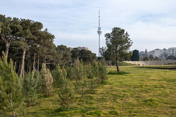 City Skyline with TV Tower