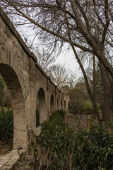 old bridge in the forest