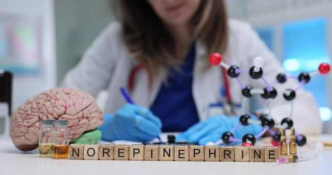 A dedicated scientist studies norepinephrine, merging advanced models with complex neural processes