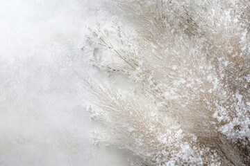 Frost-covered pampas grass closeup with icy textures against a serene white winter background