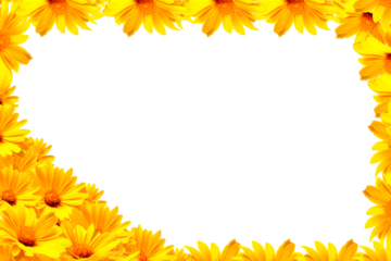frame of yellow flowers