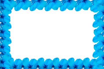 blue abstract background frame of blue flowers on transparent background