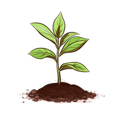 sketch style illustration: young sprout seedling growing from soil isolated on white or transparent png
