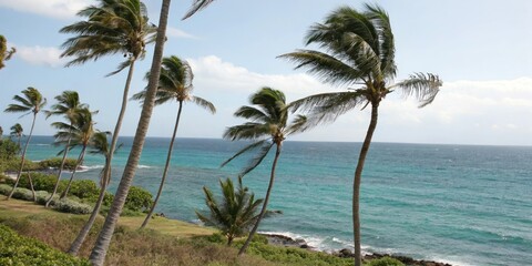 Palm trees swaying gently in the ocean breeze, coastline, foliage, sunny, relaxation, blue sky