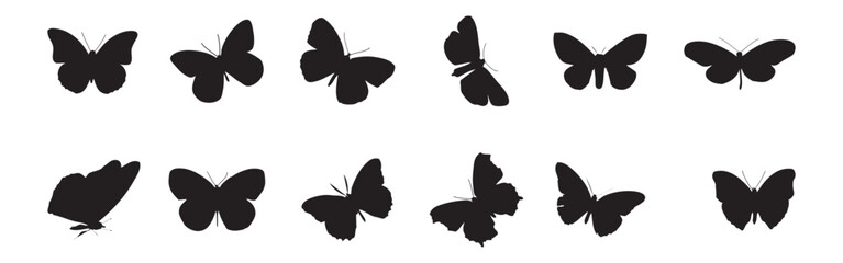 Black butterflies Silhouettes collection. isolated on white background. Vector illustration.