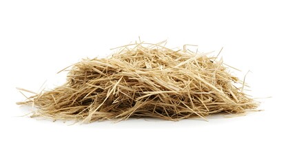 Empty bird's nest made of straw, isolated on a white background. Detailed photograph, PNG format. 