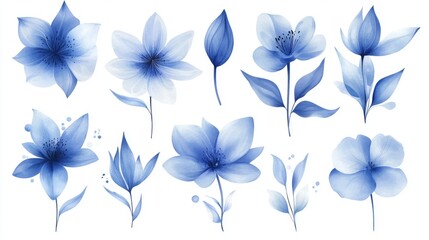 Fototapeta premium 2.A stunning vector design featuring a collection of blue flowers rendered in watercolor, with each bloom painted in a gradient of blues, from soft sky blue to deeper navy. The flowers are arranged