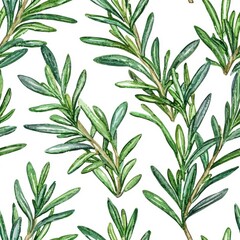 Obraz premium Watercolor style seamless pattern of rosemary, isolated on a white background, providing a soft and artistic feel.